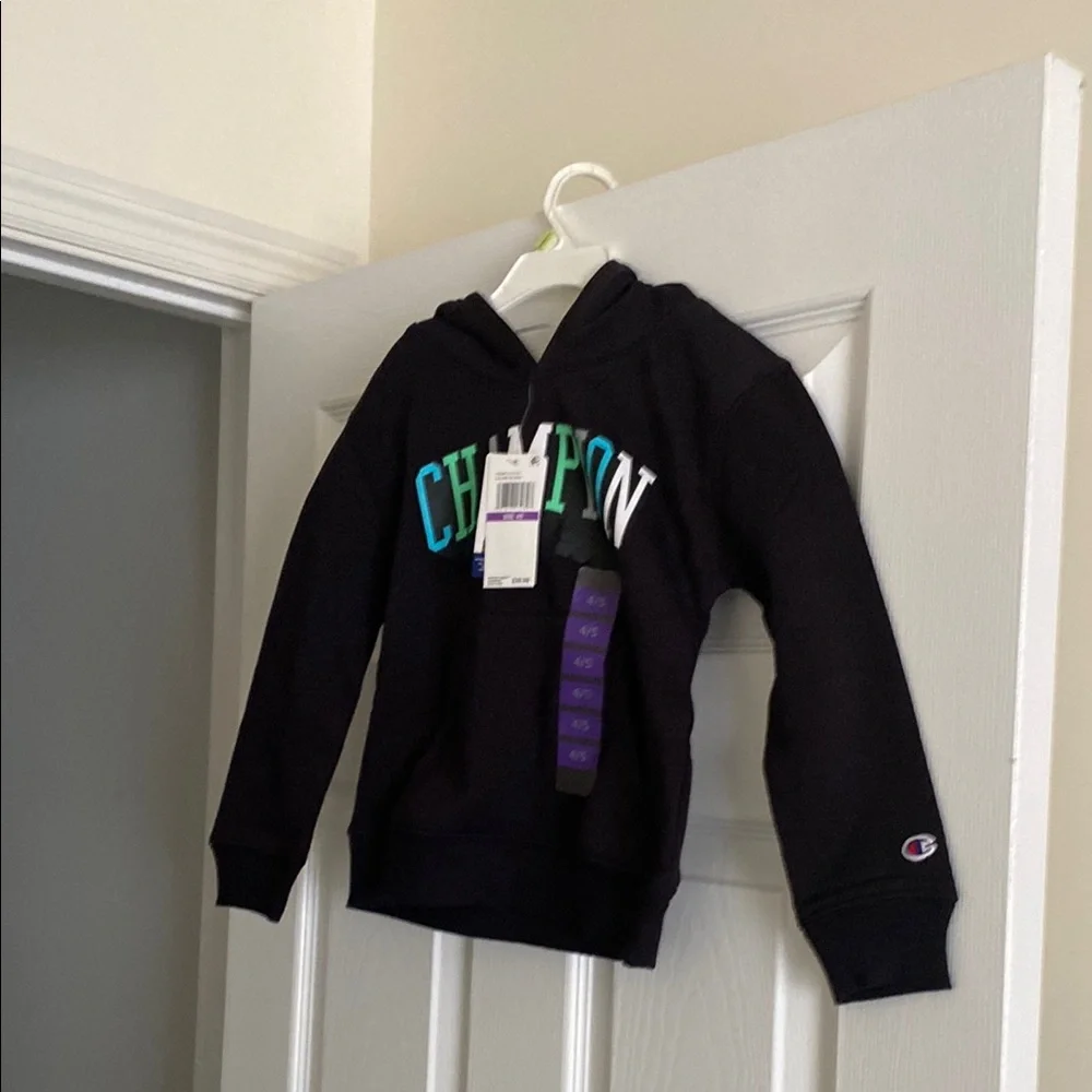 Boy’s Champion Hoodie with Teal and White Accents - Picture 3 of 3